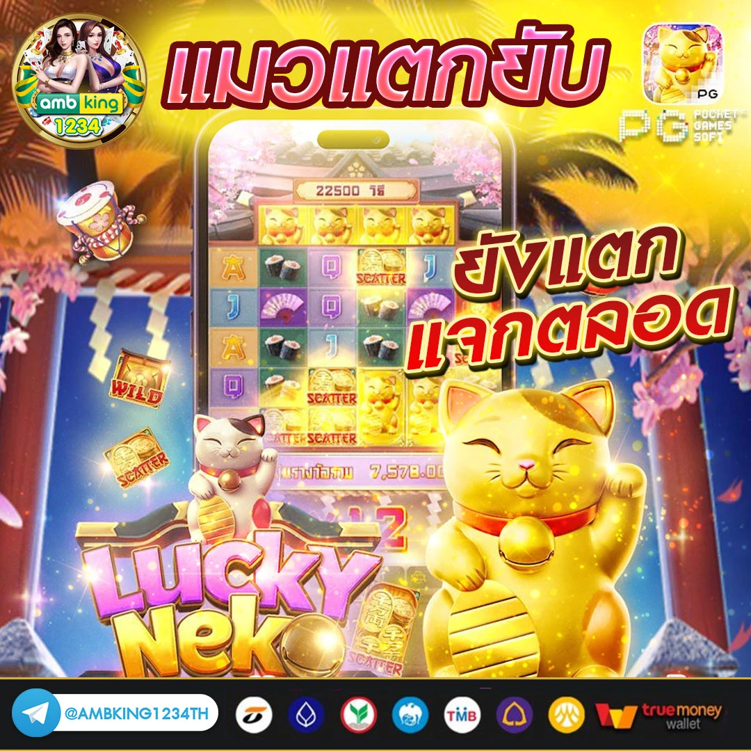 เว็บพนันออนไลน์ vip - แบนเนอร์โปรโมชั่น